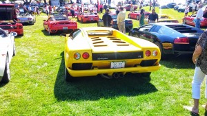 Silent Auction Gallery MARQUES D’ELEGANCE